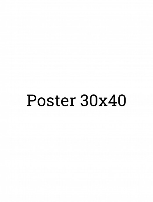 30x40 (Poster) voor