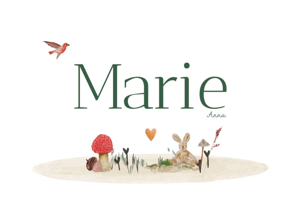 Geboortekaartje met illustraties paddestoelen en diertje Marie