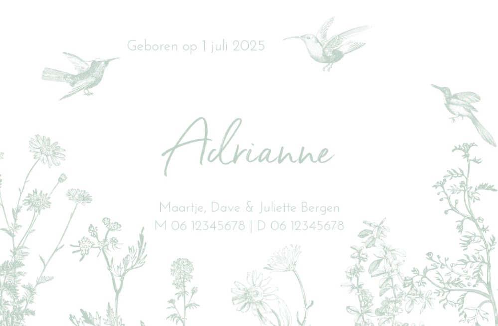 Geboortekaartje Natuur Adrianne vogeltjes voor